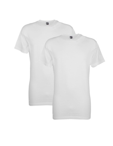 Alan Red T Shaped Virginia 2Pack White Shirt