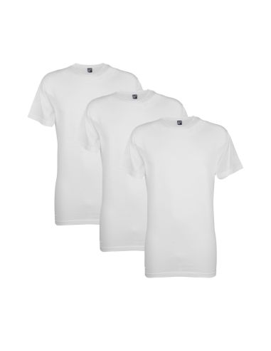 Alan Red T-Shirt Virginia 3Pack White